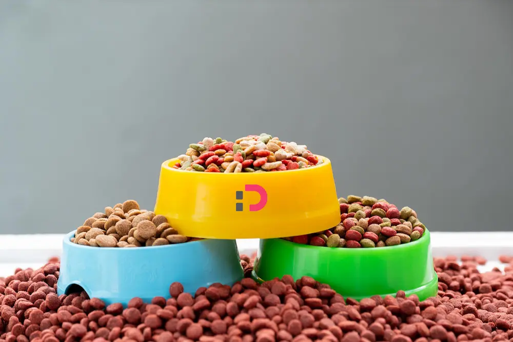 راهنمای جامع خرید غذای خشک سگ بر اساس نژاد و سن | پت‌شاپ آنلاین پتدونی 1404